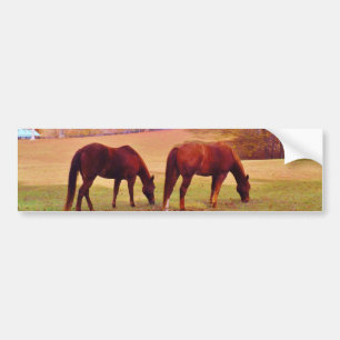 2 Bruine paarden in een gekleurd veld Bumpersticker