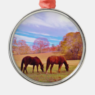2 Bruine paarden in een gekleurd veld Metalen Ornament