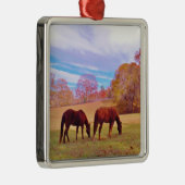 2 Bruine paarden in een gekleurd veld Metalen Ornament (Rechts)