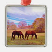 2 Bruine paarden in een gekleurd veld Metalen Ornament (Voorkant)