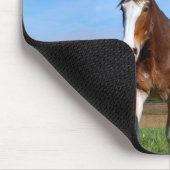2 Clydesdales mousepad Muismat (Hoek)