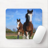 2 Clydesdales mousepad Muismat (Met muis)