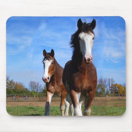 2 Clydesdales mousepad Muismat (Voorkant)