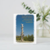 2 Corinthians 4:15 Briefkaart (Staand voorkant)