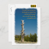 2 Corinthians 4:15 Briefkaart (Voorkant / Achterkant)