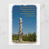 2 Corinthians 4:15 Briefkaart (Voorkant)