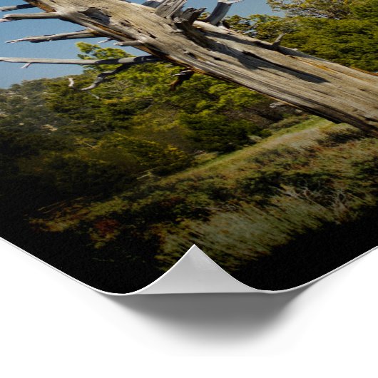 2 Corinthians 4:16 Zwarte grens Poster (Hoek)