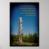 2 Corinthians 4:16 Zwarte grens Poster (Voorkant)