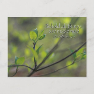 2 Corinthians 5:17 Bekijk alles nieuws Briefkaart