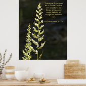 2 Corinthians 5:17 Poster (Keuken)