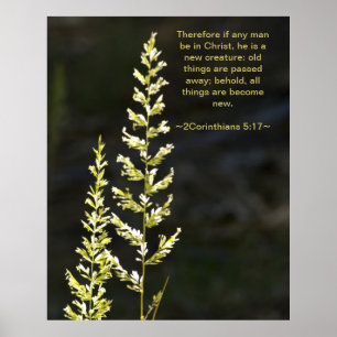 2 Corinthians 5:17 Poster