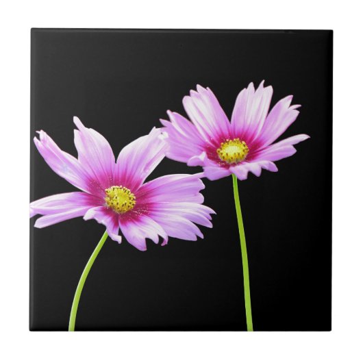 2 Cosmos Tegeltje (Voorkant)