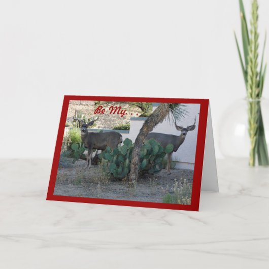 2 de Kaart van Valentijn van mannetjes (Voorkant)