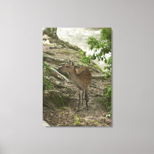 2 deer canvas afdruk