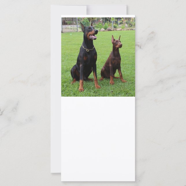 2 dobiës (Voorkant)
