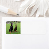 2 dobiës.png etiket (Insitu)