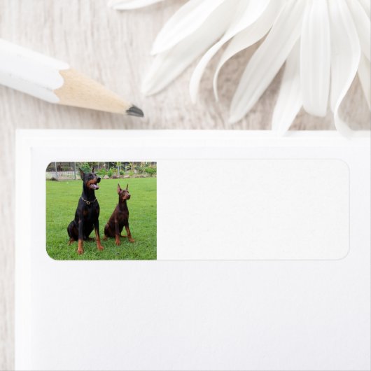 2 dobiës.png etiket (Insitu)