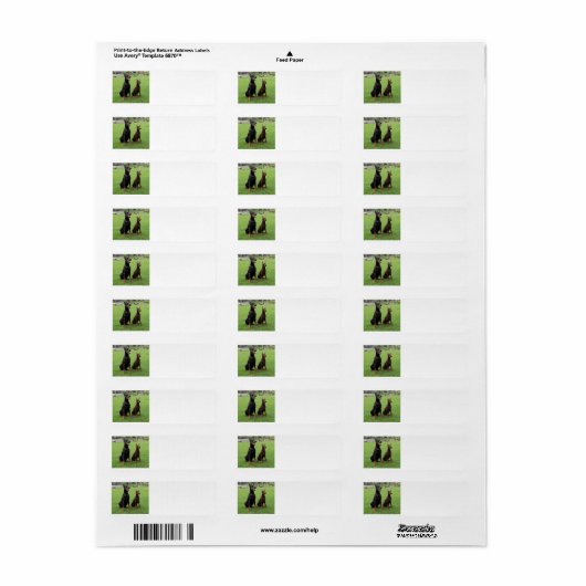 2 dobiës.png etiket (Full Sheet)