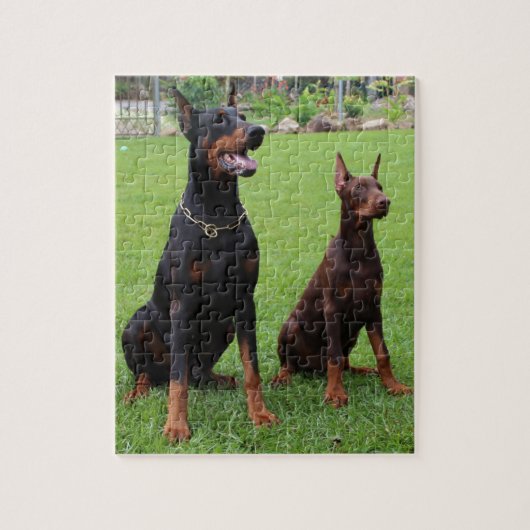 2 dobiës.png legpuzzel (Verticaal)