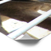 2 Donkeys bij Jackalope Santa Fe NM Poster (Hoek)