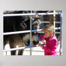 2 Donkeys bij Jackalope Santa Fe NM