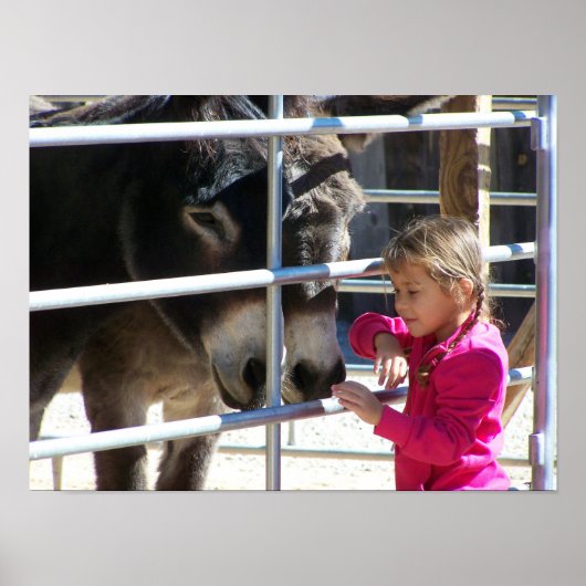 2 Donkeys bij Jackalope Santa Fe NM Poster (Voorkant)