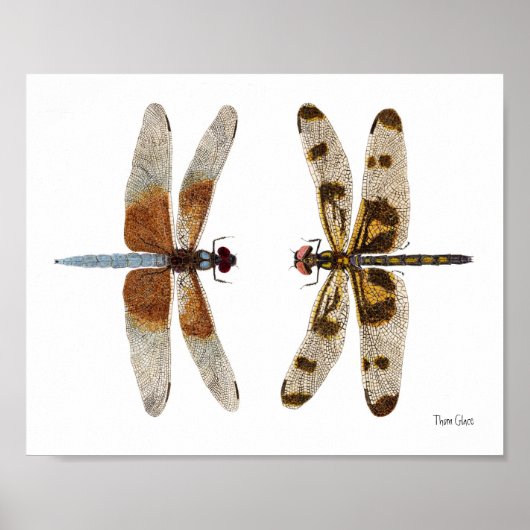 2 Dragonflies Art Poster (Voorkant)