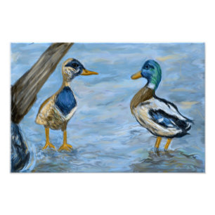 2 Ducks in A Conversation_0185_n400_tele  Foto Afdruk