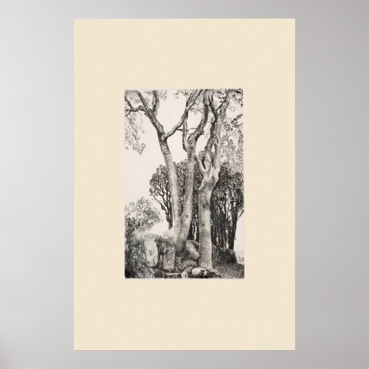 2 Essenbomen Cornwall Eleanor Hughes Nadruk Poster (Voorkant)