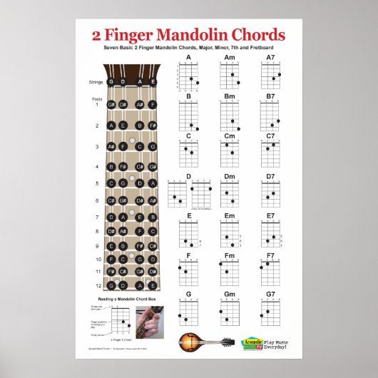 2 Finger Mandolin Chord Chart Praktijk Poster (Voorkant)