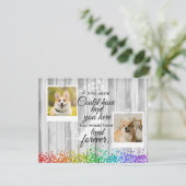 2 Foto Collage Pet Memorial Herdenking Flat Kaart (Staand voorkant)