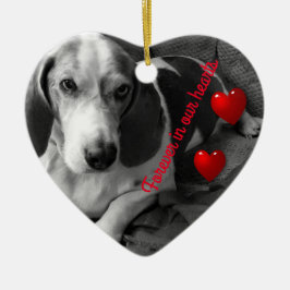 2 foto-geheugensieremmer keramisch ornament