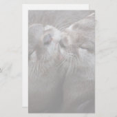 2 Foto van Otters Wildlife Kussen Briefpapier (Voorkant / Achterkant)
