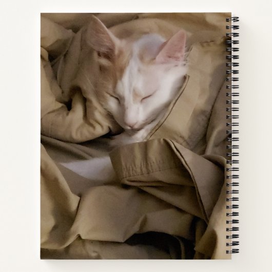 2 Foto White Script Name Year Modern Bullet Notitieboek (Achterkant)