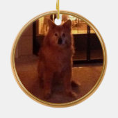 2 Foto's, 3 tekstvakken Dog Memorial Ornament (Achterkant)