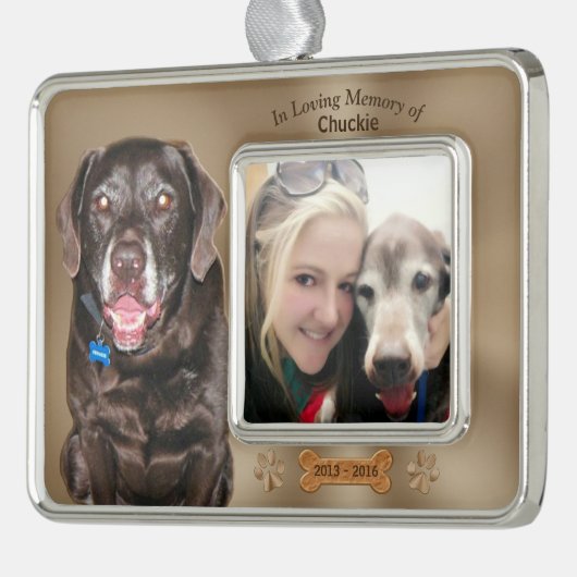 2 Foto's 3 Tekstvakken Verzilverd Omlijst Ornament (Links)