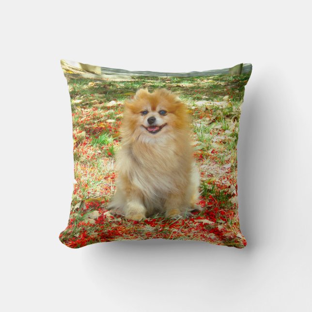 2 Foto's Cute Pomeranian dog Red bloemen Kussen (Voorkant)