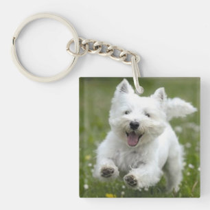 2 Foto's Sleutelhanger Gift Dog of Puppy Ma
