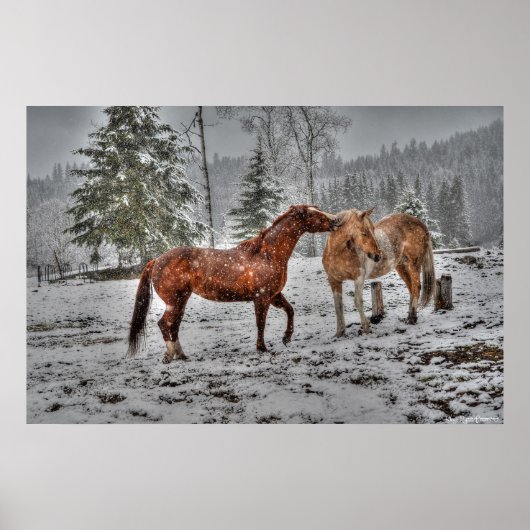 2 Friendly Ranch Horses, Dun, Palomino Paint Photo Poster (Voorkant)
