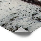 2 Friendly Ranch Horses, Dun, Palomino Paint Photo Poster (Hoek)