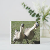 2 ganzen een eerbetoon briefkaart (Staand voorkant)