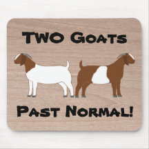 2 Geiten zijn normaal gesproken! - vleesgeiten