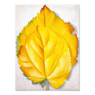 2 gele bladeren   Georgia O'Keeffe   Foto Afdruk