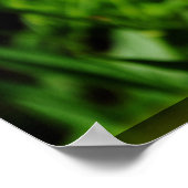 2 Gele bloemen Poster (Hoek)