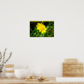 2 Gele bloemen Poster (Keuken)