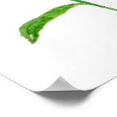 2 gele Jerusalem daises waterverf Poster (Hoek)