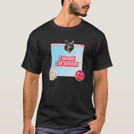 2 Gezegend 2 wees beklemtoond T-shirt (Voorkant)