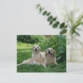 2 Golden Retrievers Laying in Grass Briefkaart (Staand voorkant)