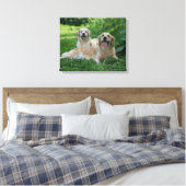 2 Golden Retrievers Laying in Grass Canvas Afdruk (Insitu (Slaapkamer))