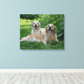 2 Golden Retrievers Laying in Grass Canvas Afdruk (Insitu (Houten vloer))